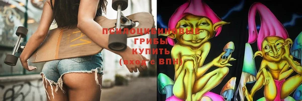 дурь Алзамай