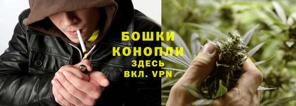 сатива Рославль