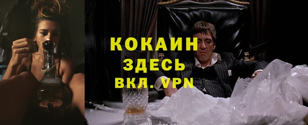 сатива Рославль