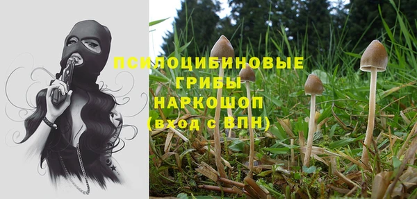 дурь Алзамай