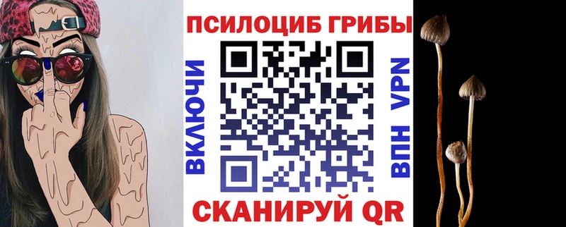 Галлюциногенные грибы ЛСД  Каргат 